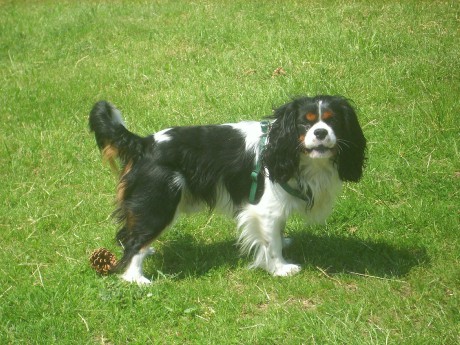 2.narozeniny v trávě